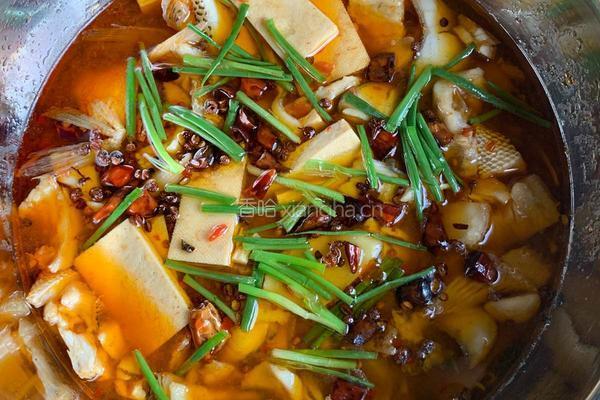 水煮鱼的做法图解10