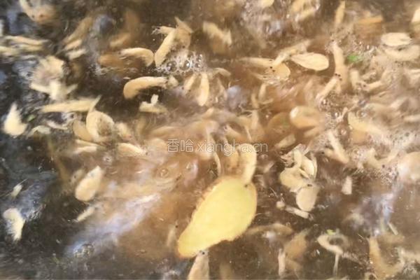 虾皮萝卜苗羹的做法图解6