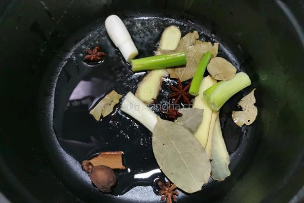 姥姥家的老味道 豆瓣酱焖牛肉的做法图解7
