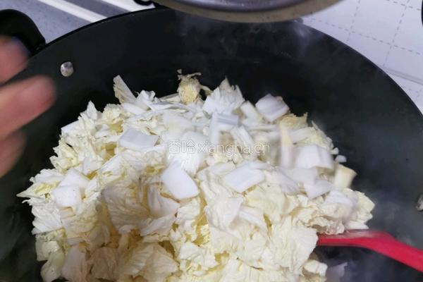 猪肉白菜炖粉条的做法图解9