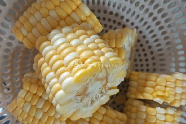 虫草花炖排骨玉米汤的做法图解3
