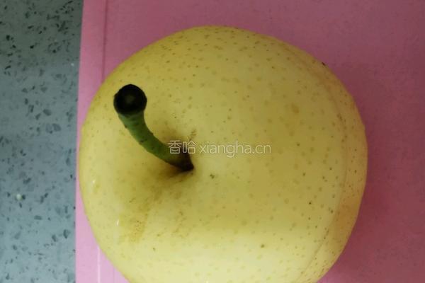 川贝炖苹果梨的做法图解8