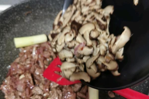 香菇牛肉酱拌面（香菇牛肉酱的做法）的做法图解20