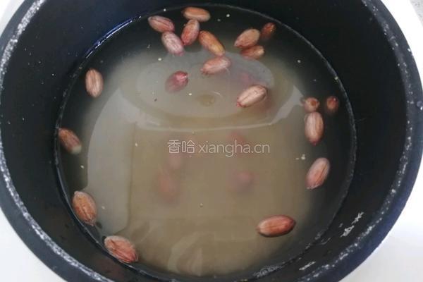 花生鸡肉藜麦粥的做法图解9