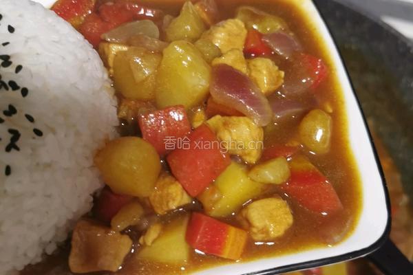 咖喱鸡肉饭的做法图解16