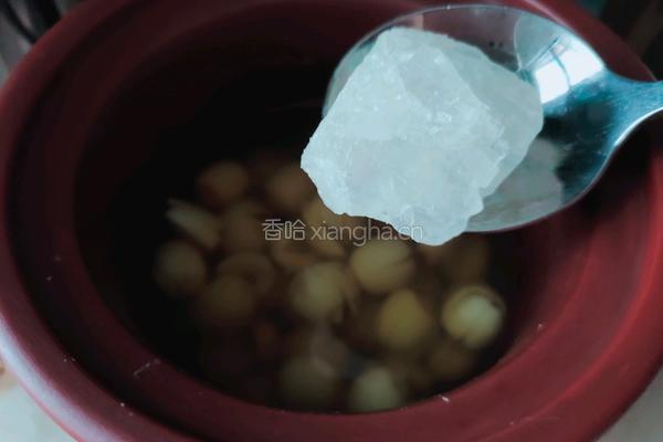 百合莲子汤的做法图解4