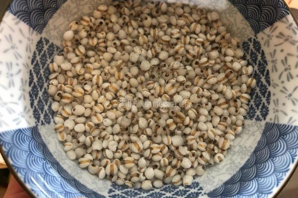 薏米冬瓜筒骨汤的做法图解1