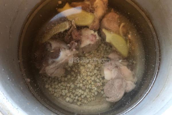 薏米冬瓜筒骨汤的做法图解7