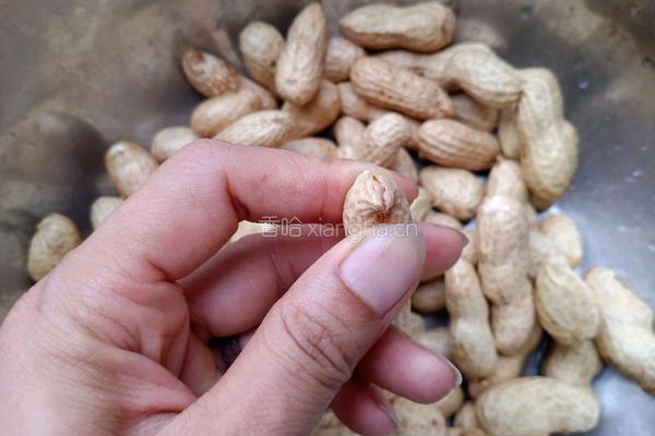 盐水花生的做法图解4