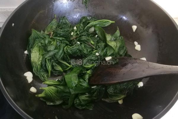 蒜香红薯叶的做法图解7