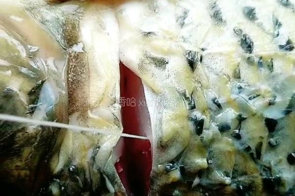过水鱼的做法图解9