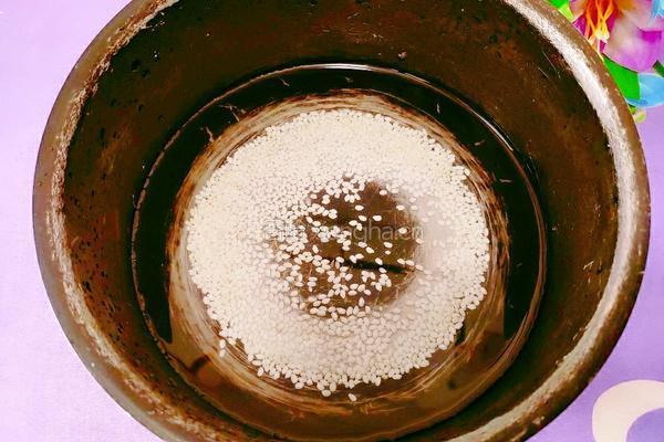 苹果红枣粳米粥的做法图解3