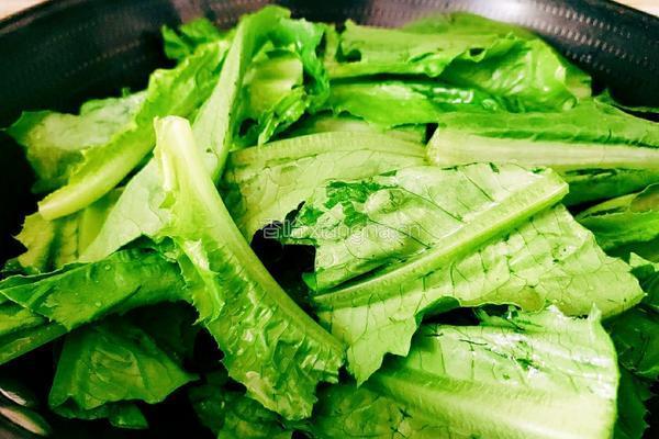 蒜茸油麦菜的做法图解10
