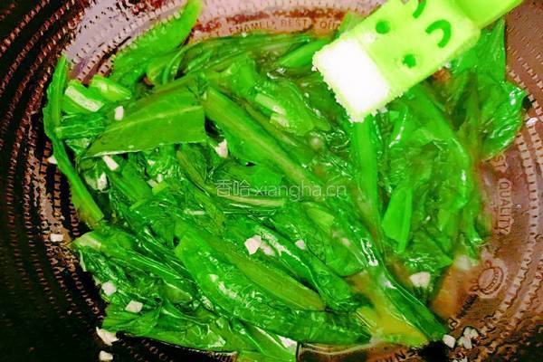 蒜茸油麦菜的做法图解12