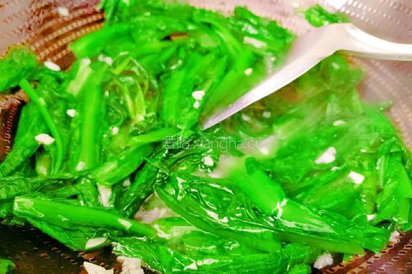 蒜茸油麦菜的做法图解13