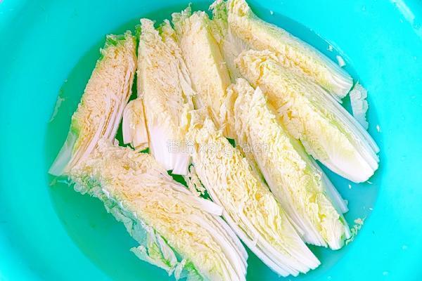 蒜蓉粉丝娃娃菜的做法图解4