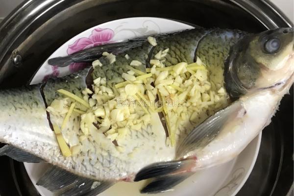 清蒸鳊鱼的做法图解5