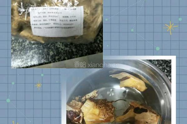 五指毛桃鸡汤的做法图解3