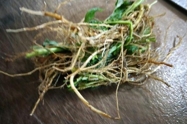 套肠艾草汤的做法图解1