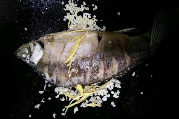 土鲫鱼豆腐汤的做法图解13