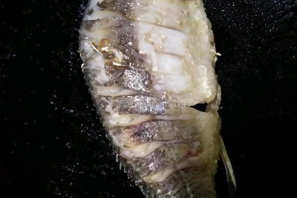 土鲫鱼豆腐汤的做法图解12