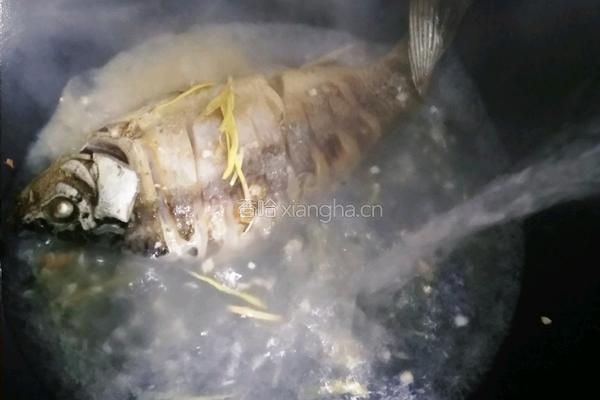 土鲫鱼豆腐汤的做法图解14