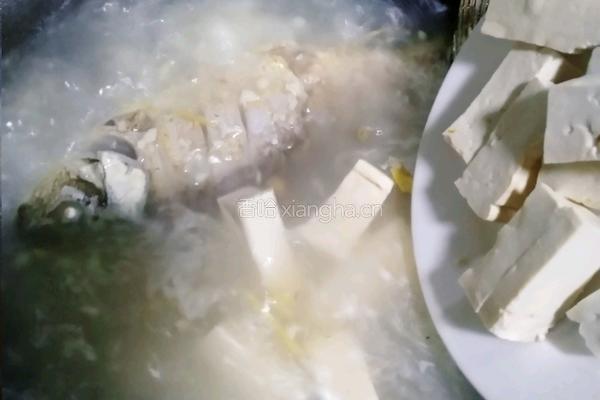 土鲫鱼豆腐汤的做法图解15