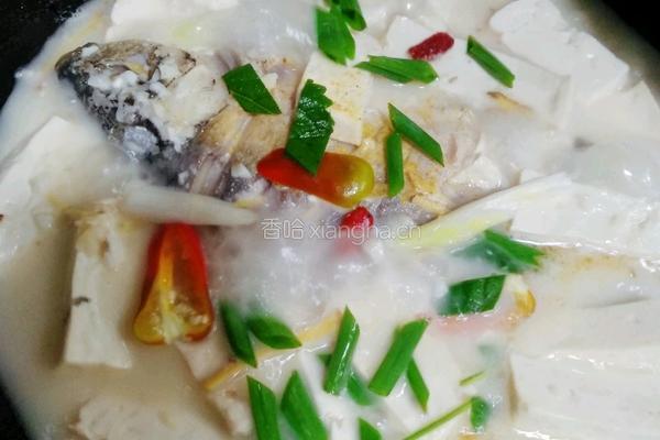 土鲫鱼豆腐汤的做法图解21