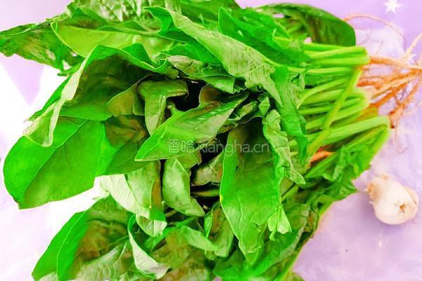 蒜茸菠菜的做法图解1