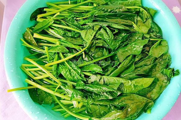 蒜茸菠菜的做法图解2