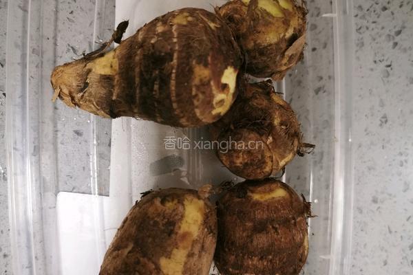 芋头龙骨汤的做法图解4