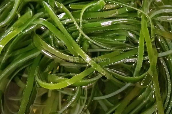 凉拌海带丝的做法图解12