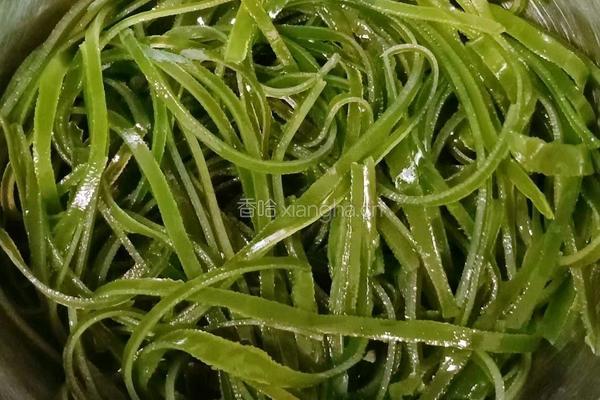 凉拌海带丝的做法图解13