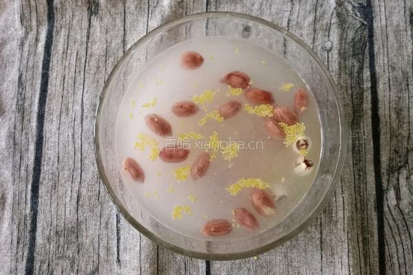 养生红枣花生莲子豆浆的做法图解2