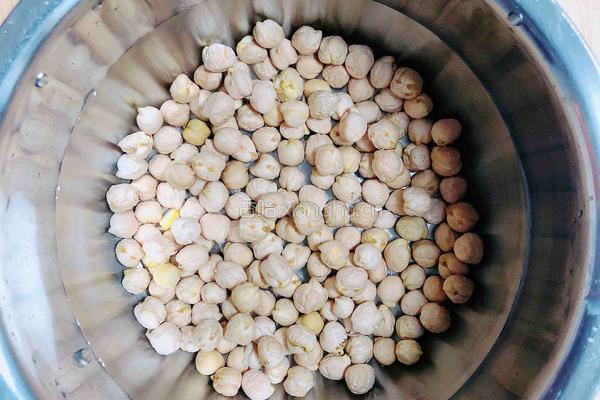 红枣藜麦鹰嘴豆浆的做法图解1