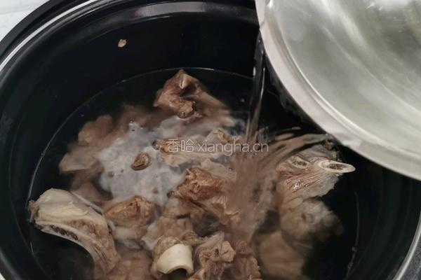 白萝卜炖羊排的做法图解4
