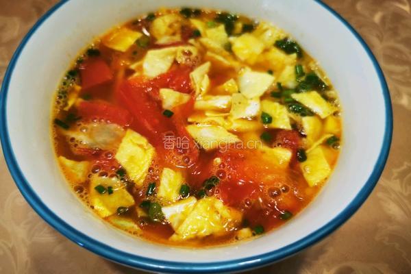 西红柿鸡蛋冒煎饼的做法图解20