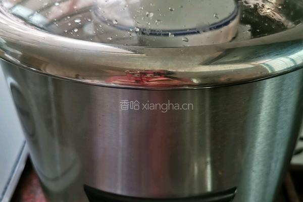 苹果南杏北杏瘦肉汤的做法图解3