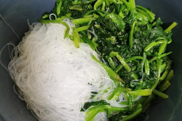 菠菜拌粉丝的做法图解9
