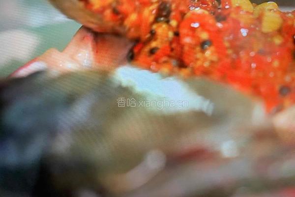 剁椒鱼头的做法图解3