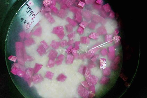 紫薯藜麦米粥 | 健脾养胃的做法图解4