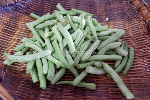 干煸肉末四季豆的做法图解1