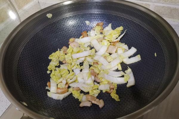 白菜豆腐炖粉条的做法图解9