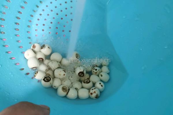 红豆莲子小米粥的做法图解4