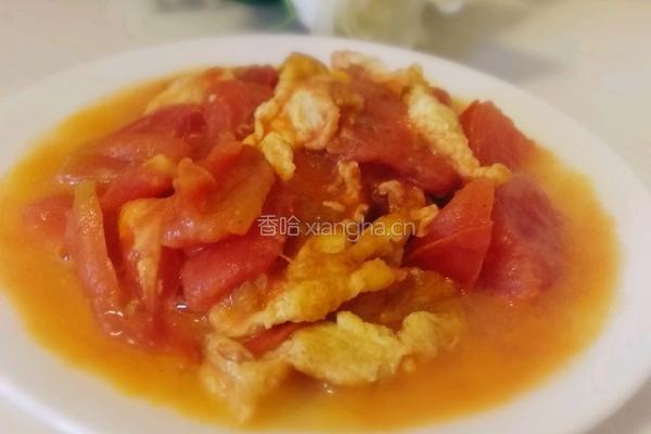 番茄炒蛋的做法图解6