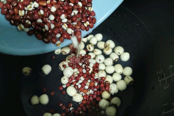 红豆薏米莲子汤的做法图解6