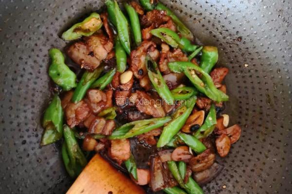 这样的小炒肉很下饭农家小炒肉的做法图解5