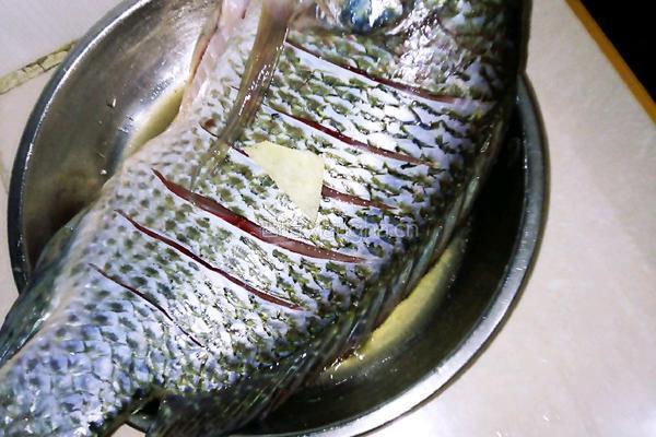 福寿鱼爱上嫩豆腐的做法图解1