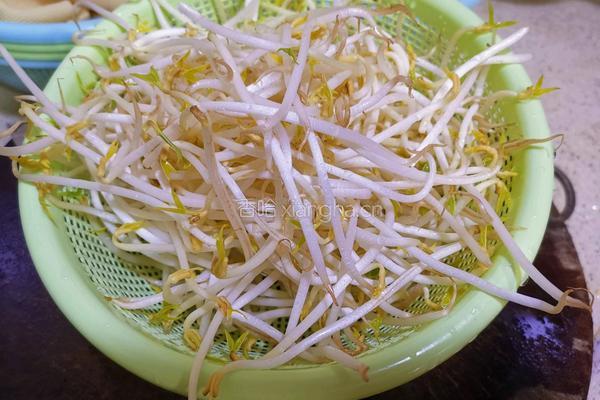 豆皮韭菜炒豆芽的做法图解3