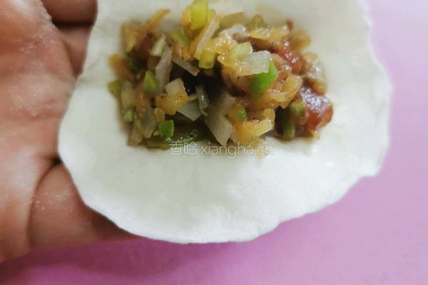 西葫芦猪肉粉条饺子的做法图解17